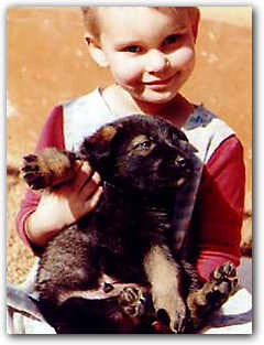 Shakira, German Shepherd cross Canadian Wolf,  wolfdog with child