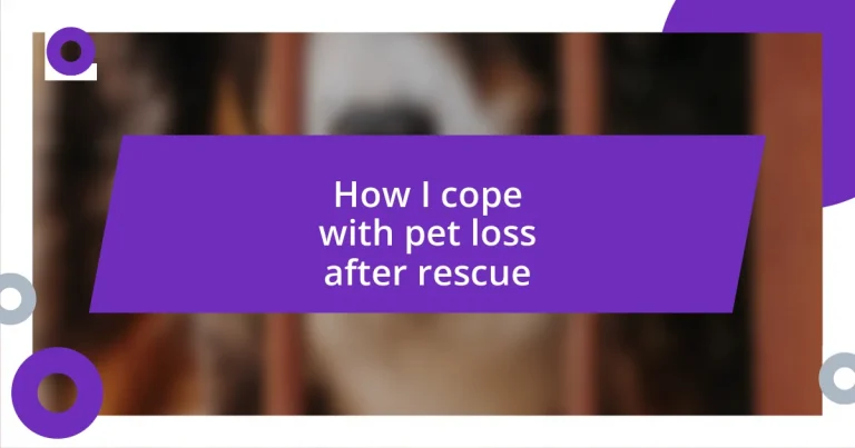 How I cope with pet loss after rescue