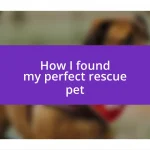 How I found my perfect rescue pet