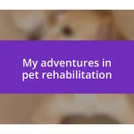 My adventures in pet rehabilitation