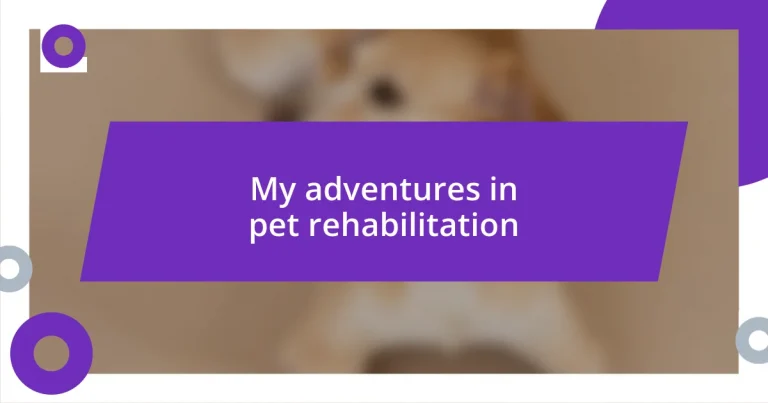 My adventures in pet rehabilitation