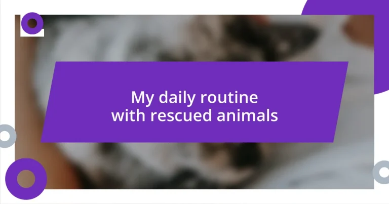 My daily routine with rescued animals