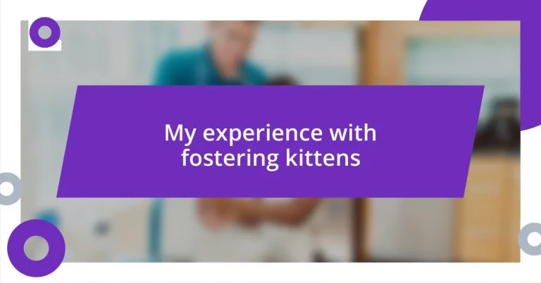 My experience with fostering kittens