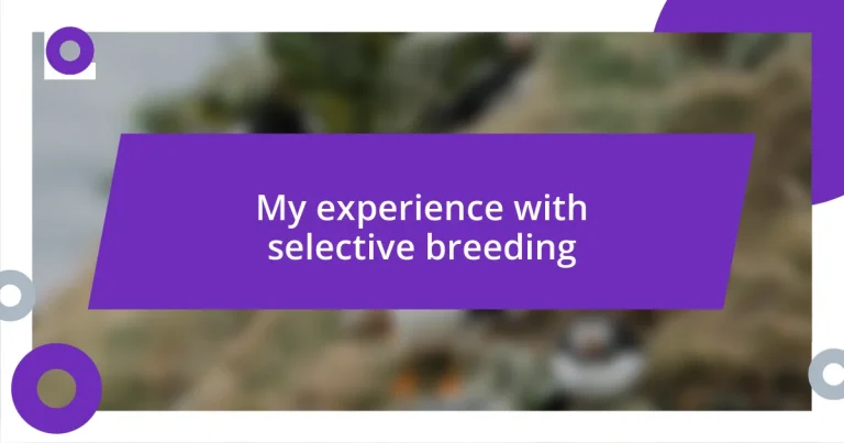 My experience with selective breeding