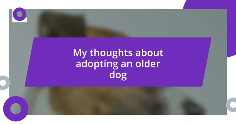 My thoughts about adopting an older dog