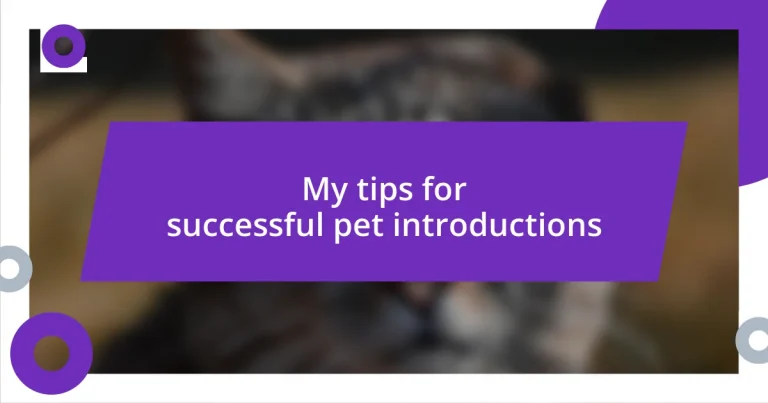 My tips for successful pet introductions