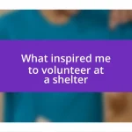 What inspired me to volunteer at a shelter