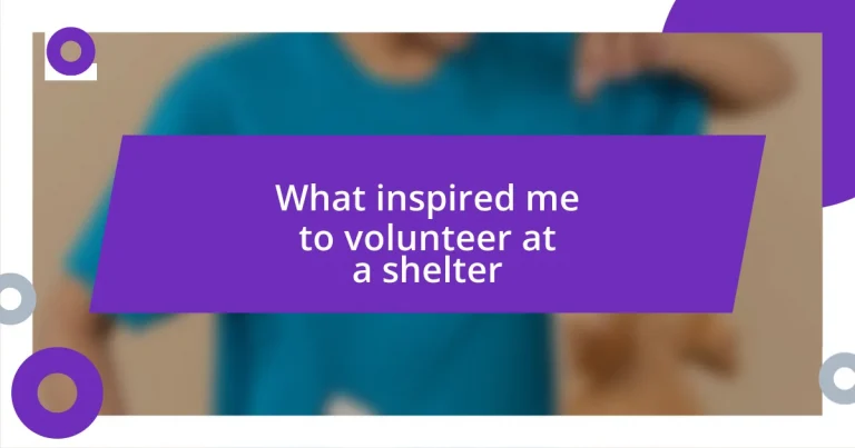 What inspired me to volunteer at a shelter