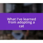 What I’ve learned from adopting a cat