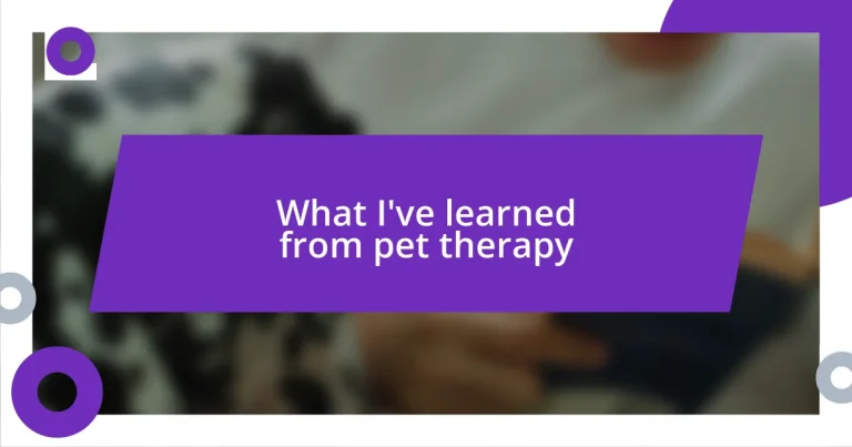 What I’ve learned from pet therapy