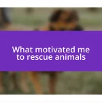 What motivated me to rescue animals